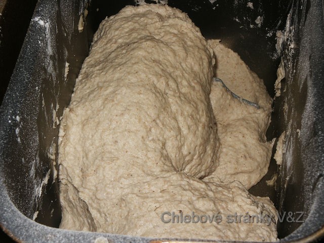 Vlasta a Zlata. Udělali jsme malý fotoseriál z posledního pečení. Zkoušeli jsme udělat chleba, kdy byla žitná a pšeničná mouka ve stejném poměru. Těsto po hodině kynutí.