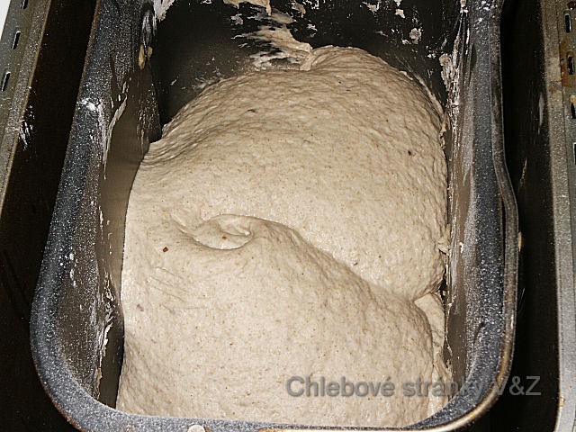 Vlasta a Zlata. Udělali jsme malý fotoseriál z posledního pečení. Zkoušeli jsme udělat chleba, kdy byla žitná a pšeničná mouka ve stejném poměru. Těsto po druhé hodině kynutí.