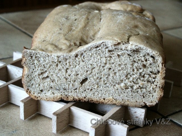 Vlasta a Zlata. Nepovedený chleba podle receptu na základní chléb, mouka "Korunka", ale pečený na program RYCHLÝ. Z toho jak je chleba málo vykynutý, je patrné, že se tento program nejspíš pro pečení chleba nebo kynutých těst nehodí. Celková délka progamu je jen 80 minut, z toho připadá na na hnětení a kynutí cca 30 minut a to je málo. Chleba jsme i ochutnali, ale k jídlu moc nebyl, nejen že vypadal tak jak vypadal, ale byl i nedopečený. Tenhle program bude pravděpodobně více vhodný na těsta, kde je použitý kypřicí prášek do pečiva.