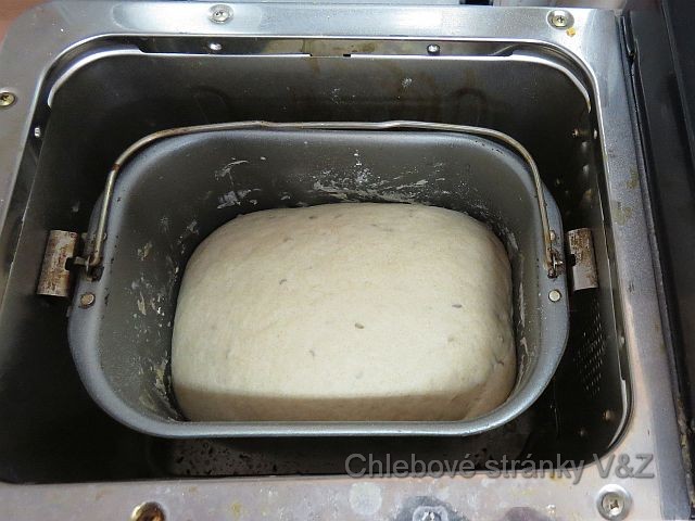 Vlasta a Zlata. Malý fotoseriál kombinovaně připraveného chleba. Těsto před vyndání z pekárny.