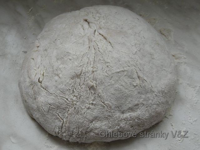 Vlasta a Zlata. Malý fotoseriál kombinovaně připraveného chleba. Těsto připravené na vsazení do trouby.