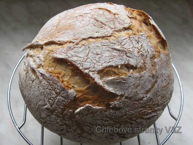 Vlasta a Zlata. Malý fotoseriál kombinovaně připraveného chleba. Upečený chleba už chladne na mřížce.